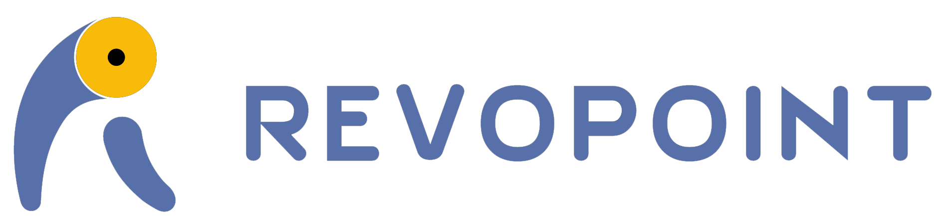 Revopoint